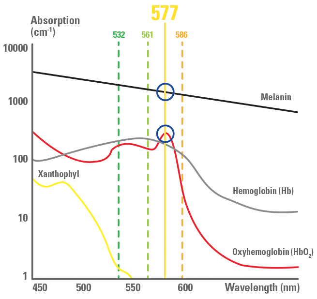 Absorption - 577nm Wavelenght